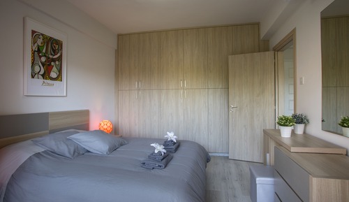 Prestigious One-Bedroom Apartment (B211)