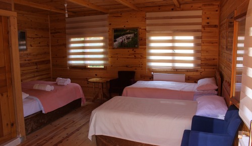 Traditional Bungalow