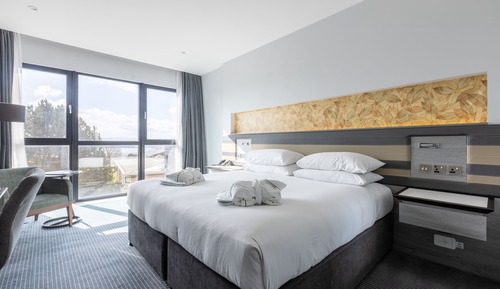 Room, 1 King Bed