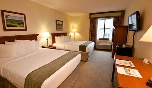 Single Room, 2 Queen Beds