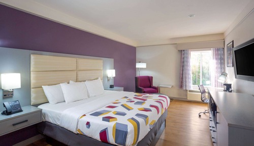 Room, 1 King Bed, Roll-in Shower