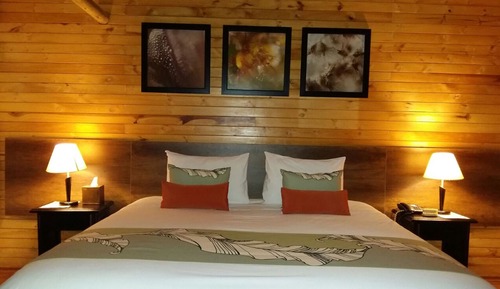 Standard Double Room, 1 King Bed