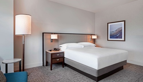 Room, 1 King Bed, Accessible (Roll-in Shower)