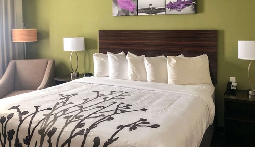 Room, 1 King Bed, Non Smoking