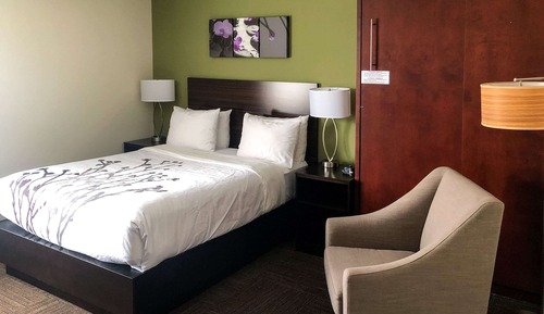 Standard Room, 1 Queen Bed, Non Smoking