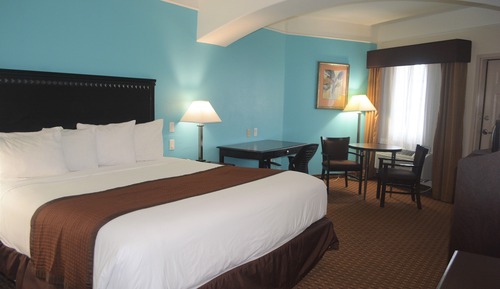 Room, 1 King Bed, Accessible, Non Smoking (Roll-In Shower)