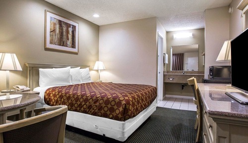 Standard Room, 1 Queen Bed, Accessible, Non Smoking (Roll-In Shower)