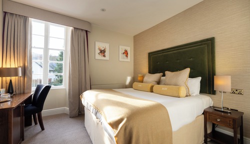 Classic Room, 1 Double Bed