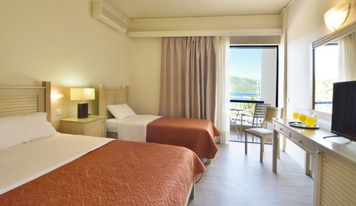 Basic Double or Twin Room