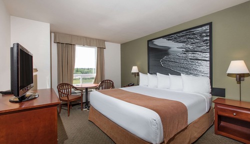 Standard Room, 1 King Bed, Non Smoking