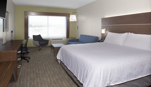 Suite, 1 King Bed with Sofa bed