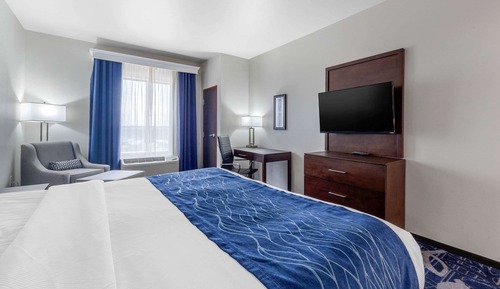 Standard Room, 1 King Bed, Non Smoking