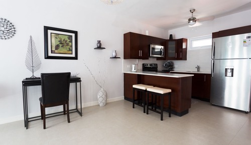 Luxury Apartment, 1 Bedroom, Mountain View
