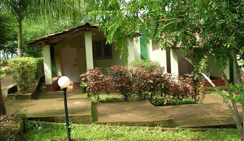 Basic Room, Resort View