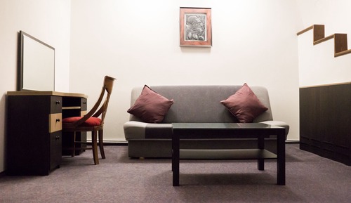 Superior Studio Suite, 1 King Bed with Sofa bed, Park View