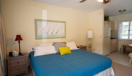 Premium Suite, 1 King Bed, Non Smoking, Garden View