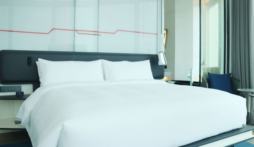 Room, 1 King Bed