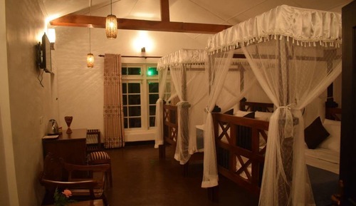 Triple Room, Park View
