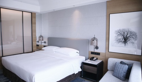 Room, 1 King Bed, City View