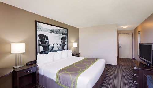Standard Room, 1 King Bed, Accessible