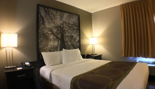 Suite, 1 Queen Bed