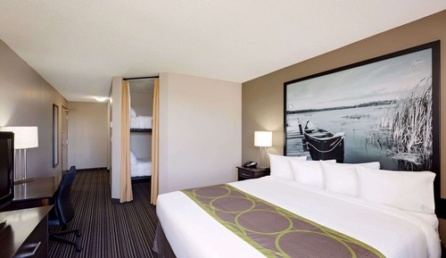  Suite, 1 Queen Bed with Bunk Beds