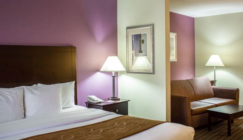 Suite, 1 King Bed with Sofa bed, Accessible, Non Smoking