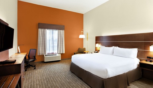 Standard Room, 1 King Bed, Accessible (310 Sq Ft, Communication Accessible)