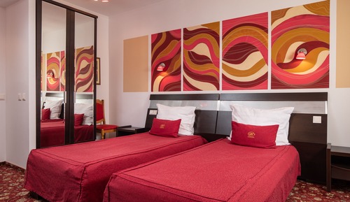 Standard Room (without Balcony)