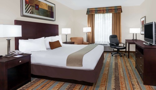 Room, 1 King Bed, Non Smoking