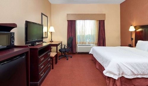 Room, 1 King Bed, Accessible, Non Smoking
