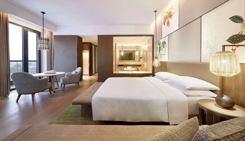 Family Room, 1 King Bed