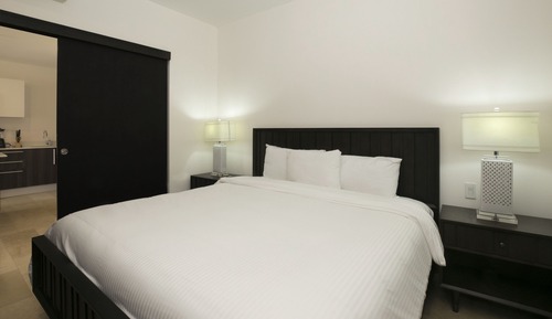 Roble Sabana 304 - Luxury Apartment