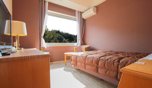 Economy Double Room - Indoor Bath - Non-Smoking