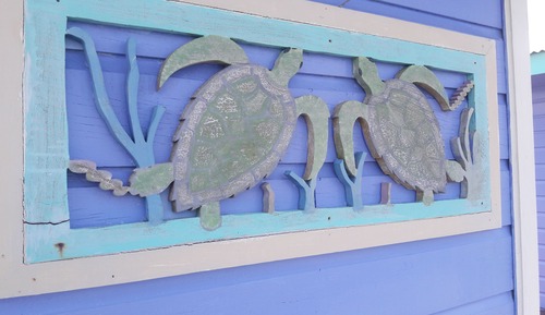 Sea Turtle Over Water