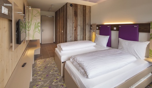 Double or Twin Room, Mountain View
