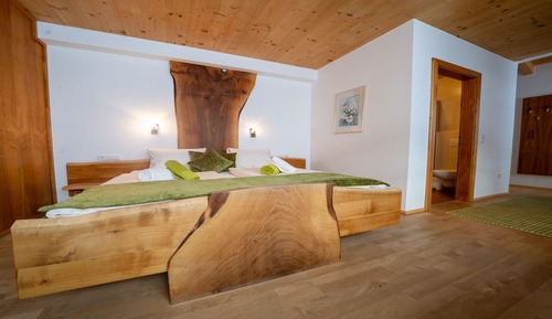 Studio, Balcony, Mountain View