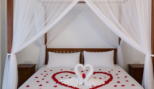 Comfort Suite, Garden View