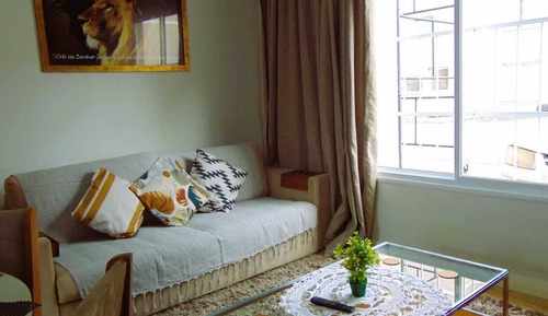 Basic Apartment, Pets Allowed, City View