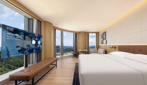 Room, 1 King Bed, Mountain View