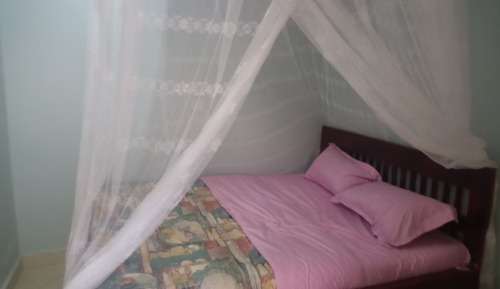 Basic Double Room, Garden View