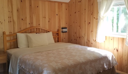 Single Room, 1 King Bed