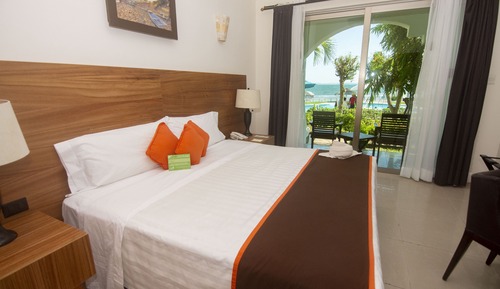 Room, 1 King Bed