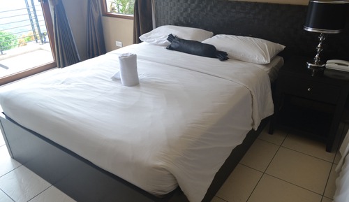 Deluxe Room, Non Smoking