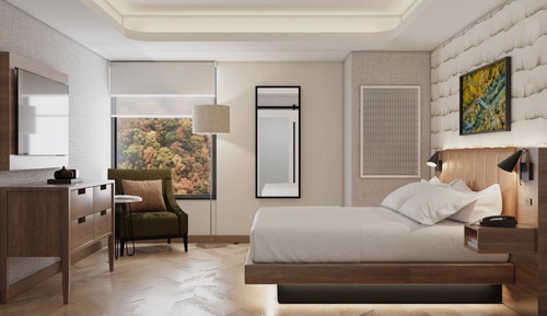 Standard Room, 1 King Bed, Roll-in Shower (Mobility)