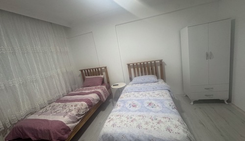 Room, 2 Twin Beds