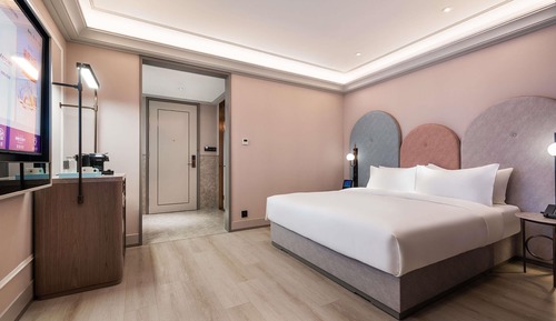 Privilege, Room, 1 King Bed