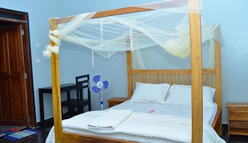 Classic Single Room, 1 Queen Bed, Vision Accessible, Housekeeping