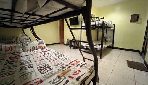 Standard Shared Dormitory