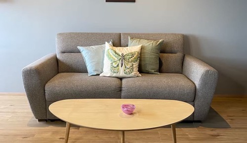 Deluxe Apartment, Mountain View